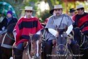 Cabalgata Comuna de San Nicolás 2014
