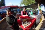 Fiesta del Rosario Ninhue 2015