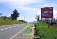 Historia de Ninhue